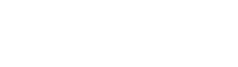 Platine Verdier logo