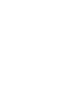 Pulsation Recordings logo